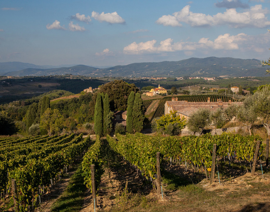 Espressione della fragranza del frutto del Chianti Classico