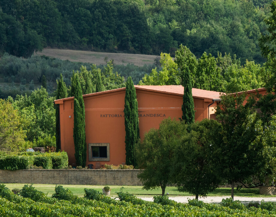 Visita Fattoria Aldobrandesca