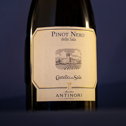 Pinot Nero della Sala | Marchesi Antinori