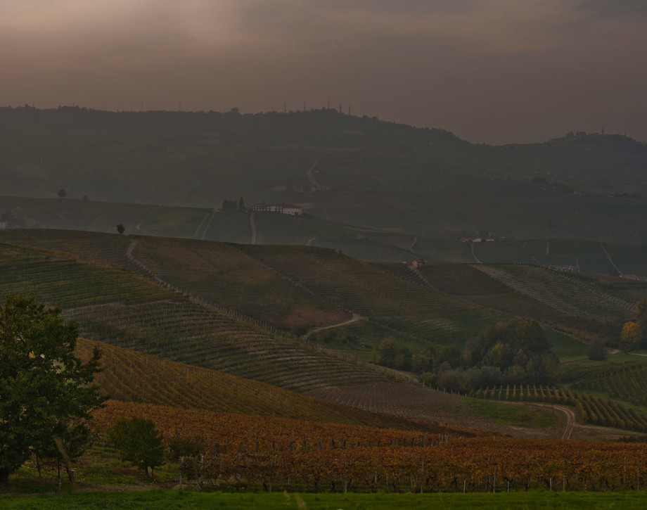 Prunotto.  In a Centuries-old territory: The Langhe
